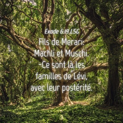 Picture 04 - Exode 6:19 LSG - Fils de Merari: Machli et Muschi. -Ce sont là - Bible Verse Picture