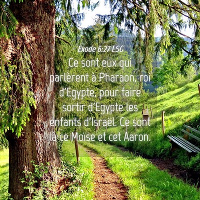 Picture 04 - Exode 6:27 LSG - Ce sont eux qui parlèrent à Pharaon, roi - Bible Verse Picture