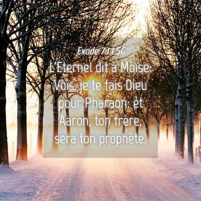 Picture 04 - Exode 7:1 LSG - L'Eternel dit à Moïse: Vois, je te fais Dieu - Bible Verse Picture