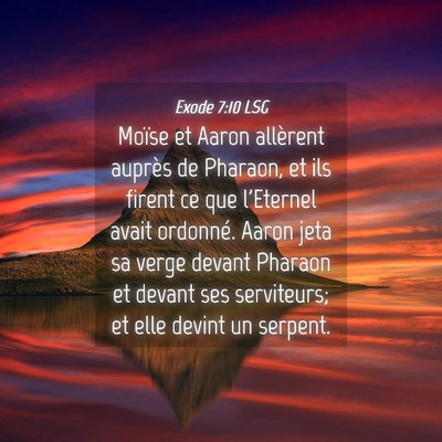 Picture 04 - Exode 7:10 LSG - Moïse et Aaron allèrent auprès de Pharaon, et - Bible Verse Picture