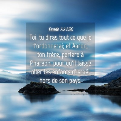 Picture 04 - Exode 7:2 LSG - Toi, tu diras tout ce que je t'ordonnerai; et - Bible Verse Picture
