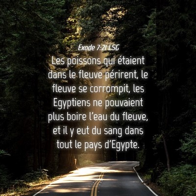 Picture 04 - Exode 7:21 LSG - Les poissons qui étaient dans le fleuve - Bible Verse Picture