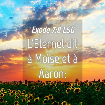 Picture 04 - Exode 7:8 LSG - L'Eternel dit à Moïse et à - Bible Verse Picture