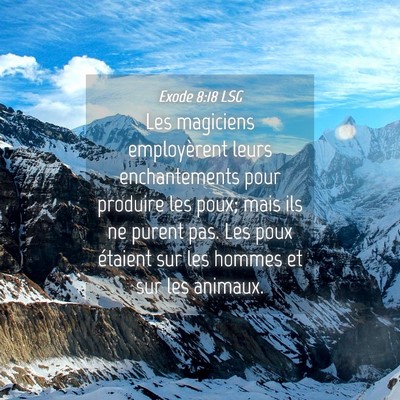 Picture 04 - Exode 8:18 LSG - Les magiciens employèrent leurs enchantements - Bible Verse Picture