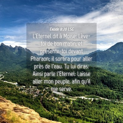 Picture 04 - Exode 8:20 LSG - L'Eternel dit à Moïse: Lève-toi de bon matin, - Bible Verse Picture