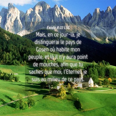 Picture 04 - Exode 8:22 LSG - Mais, en ce jour-là, je distinguerai le pays de - Bible Verse Picture