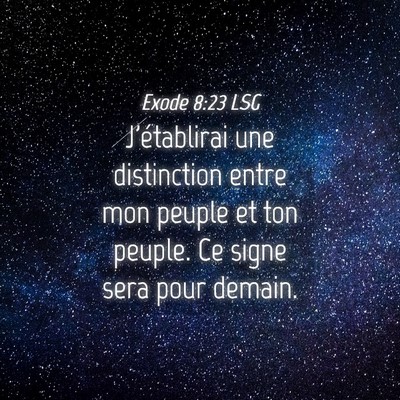 Picture 04 - Exode 8:23 LSG - J'établirai une distinction entre mon peuple et - Bible Verse Picture