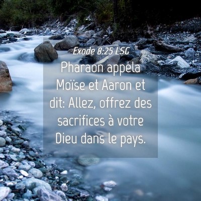 Picture 04 - Exode 8:25 LSG - Pharaon appela Moïse et Aaron et dit: Allez, - Bible Verse Picture