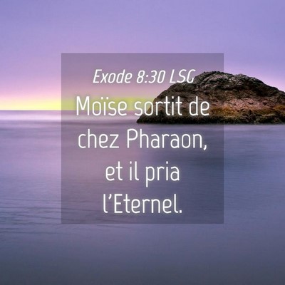 Picture 04 - Exode 8:30 LSG - Moïse sortit de chez Pharaon, et il pria - Bible Verse Picture