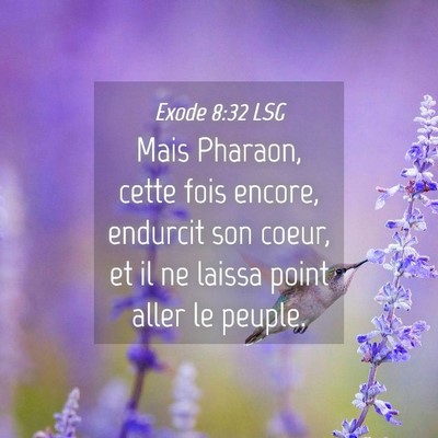 Picture 04 - Exode 8:32 LSG - Mais Pharaon, cette fois encore, endurcit son - Bible Verse Picture