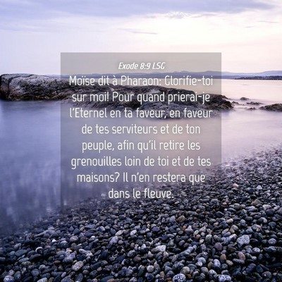 Picture 04 - Exode 8:9 LSG - Moïse dit à Pharaon: Glorifie-toi sur moi! Pour - Bible Verse Picture