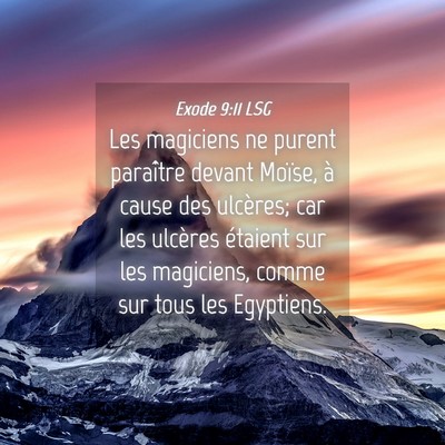 Picture 04 - Exode 9:11 LSG - Les magiciens ne purent paraître devant Moïse, - Bible Verse Picture