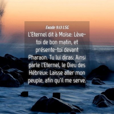 Picture 04 - Exode 9:13 LSG - L'Eternel dit à Moïse: Lève-toi de bon matin, - Bible Verse Picture