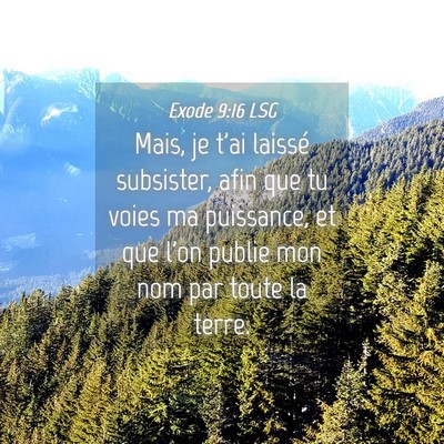 Picture 04 - Exode 9:16 LSG - Mais, je t'ai laissé subsister, afin que tu - Bible Verse Picture