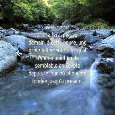 Picture 04 - Exode 9:18 LSG - voici, je ferai pleuvoir demain, à cette heure, - Bible Verse Picture