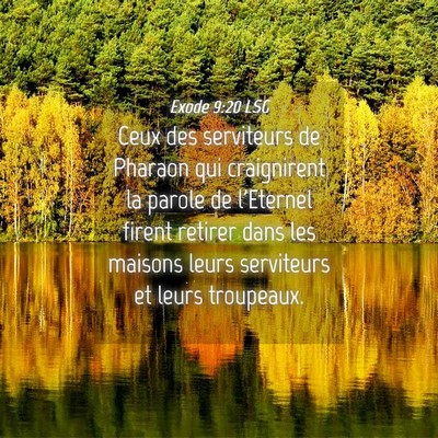 Picture 04 - Exode 9:20 LSG - Ceux des serviteurs de Pharaon qui craignirent la - Bible Verse Picture