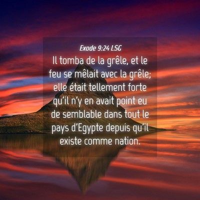 Picture 04 - Exode 9:24 LSG - Il tomba de la grêle, et le feu se mêlait avec - Bible Verse Picture