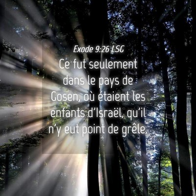Picture 04 - Exode 9:26 LSG - Ce fut seulement dans le pays de Gosen, où - Bible Verse Picture