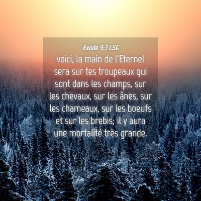 Picture 04 - Exode 9:3 LSG - voici, la main de l'Eternel sera sur tes - Bible Verse Picture