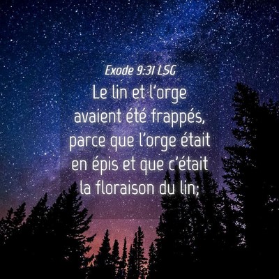 Picture 04 - Exode 9:31 LSG - Le lin et l'orge avaient été frappés, parce - Bible Verse Picture