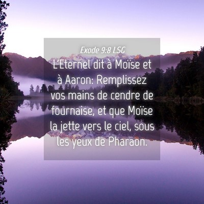 Picture 04 - Exode 9:8 LSG - L'Eternel dit à Moïse et à Aaron: Remplissez - Bible Verse Picture