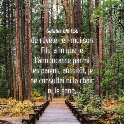 Picture 04 - Galates 1:16 LSG - de révéler en moi son Fils, afin que je - Bible Verse Picture