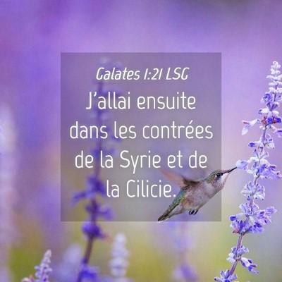 Picture 04 - Galates 1:21 LSG - J'allai ensuite dans les contrées de la Syrie et - Bible Verse Picture