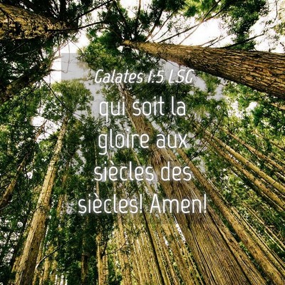 Picture 04 - Galates 1:5 LSG - qui soit la gloire aux siècles des siècles! - Bible Verse Picture