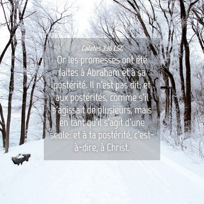Picture 04 - Galates 3:16 LSG - Or les promesses ont été faites à Abraham et - Bible Verse Picture