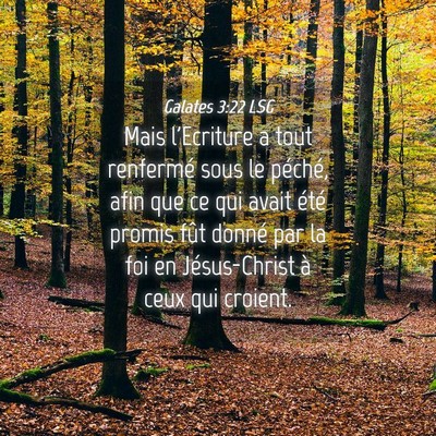 Picture 04 - Galates 3:22 LSG - Mais l'Ecriture a tout renfermé sous le péché, - Bible Verse Picture