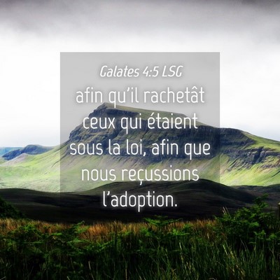 Picture 04 - Galates 4:5 LSG - afin qu'il rachetât ceux qui étaient sous la - Bible Verse Picture