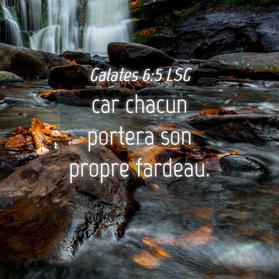 Picture 04 - Galates 6:5 LSG - car chacun portera son propre - Bible Verse Picture