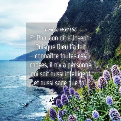 Genèse 41:39 LSG - Et Pharaon dit à Joseph: Puisque Dieu t'a fait