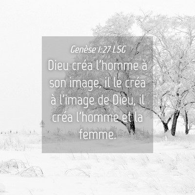 Picture 04 - Genèse 1:27 LSG - Dieu créa l'homme à son image, il le créa à - Bible Verse Picture