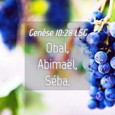 Picture 04 - Genèse 10:28 LSG - Obal, Abimaël, - Bible Verse Picture