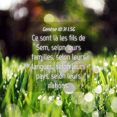 Picture 04 - Genèse 10:31 LSG - Ce sont là les fils de Sem, selon leurs - Bible Verse Picture