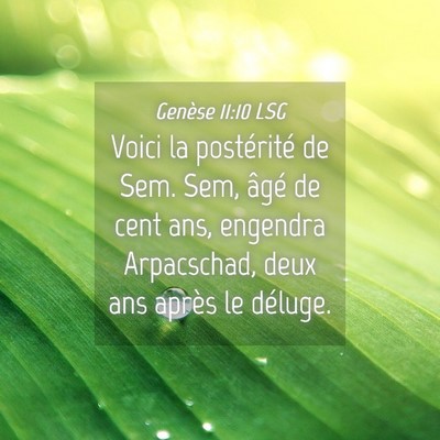 Picture 04 - Genèse 11:10 LSG - Voici la postérité de Sem. Sem, âgé de cent - Bible Verse Picture