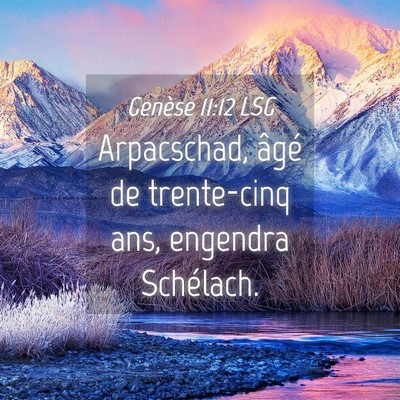 Picture 04 - Genèse 11:12 LSG - Arpacschad, âgé de trente-cinq ans, engendra - Bible Verse Picture