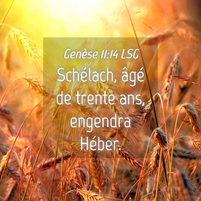 Picture 04 - Genèse 11:14 LSG - Schélach, âgé de trente ans, engendra - Bible Verse Picture