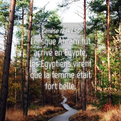 Picture 04 - Genèse 12:14 LSG - Lorsque Abram fut arrivé en Egypte, les - Bible Verse Picture