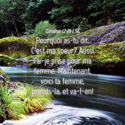 Picture 04 - Genèse 12:19 LSG - Pourquoi as-tu dit: C'est ma soeur? Aussi l'ai-je - Bible Verse Picture