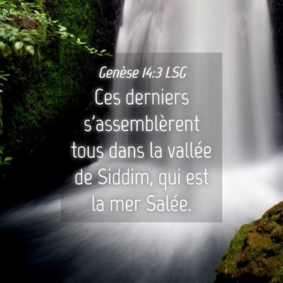 Picture 04 - Genèse 14:3 LSG - Ces derniers s'assemblèrent tous dans la vallée - Bible Verse Picture