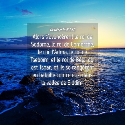Picture 04 - Genèse 14:8 LSG - Alors s'avancèrent le roi de Sodome, le roi de - Bible Verse Picture