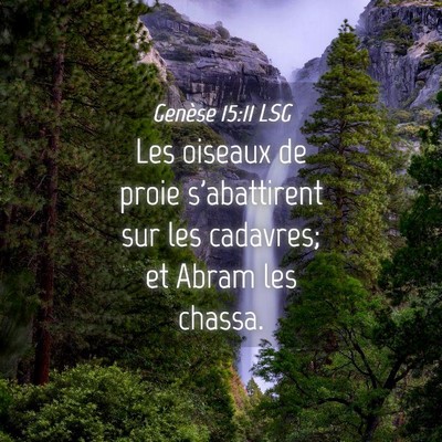 Picture 04 - Genèse 15:11 LSG - Les oiseaux de proie s'abattirent sur les - Bible Verse Picture