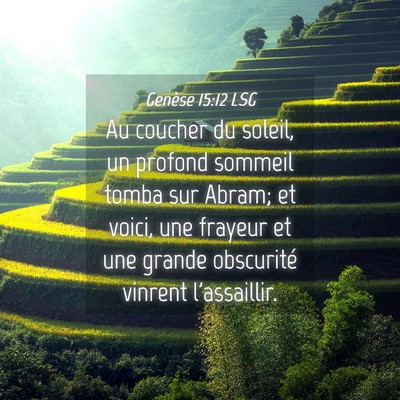 Picture 04 - Genèse 15:12 LSG - Au coucher du soleil, un profond sommeil tomba - Bible Verse Picture