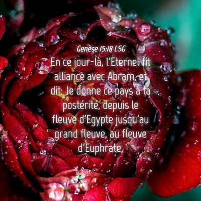 Picture 04 - Genèse 15:18 LSG - En ce jour-là, l'Eternel fit alliance avec - Bible Verse Picture