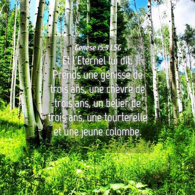 Picture 04 - Genèse 15:9 LSG - Et l'Eternel lui dit: Prends une génisse de - Bible Verse Picture