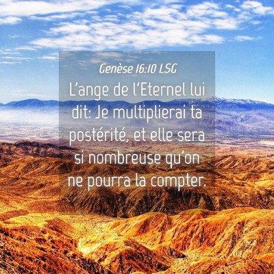 Picture 04 - Genèse 16:10 LSG - L'ange de l'Eternel lui dit: Je multiplierai ta - Bible Verse Picture