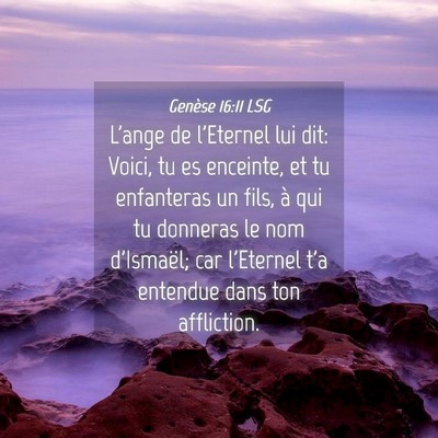 Picture 04 - Genèse 16:11 LSG - L'ange de l'Eternel lui dit: Voici, tu es - Bible Verse Picture