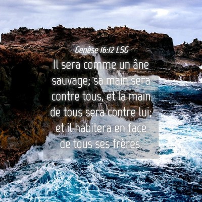 Picture 04 - Genèse 16:12 LSG - Il sera comme un âne sauvage; sa main sera - Bible Verse Picture